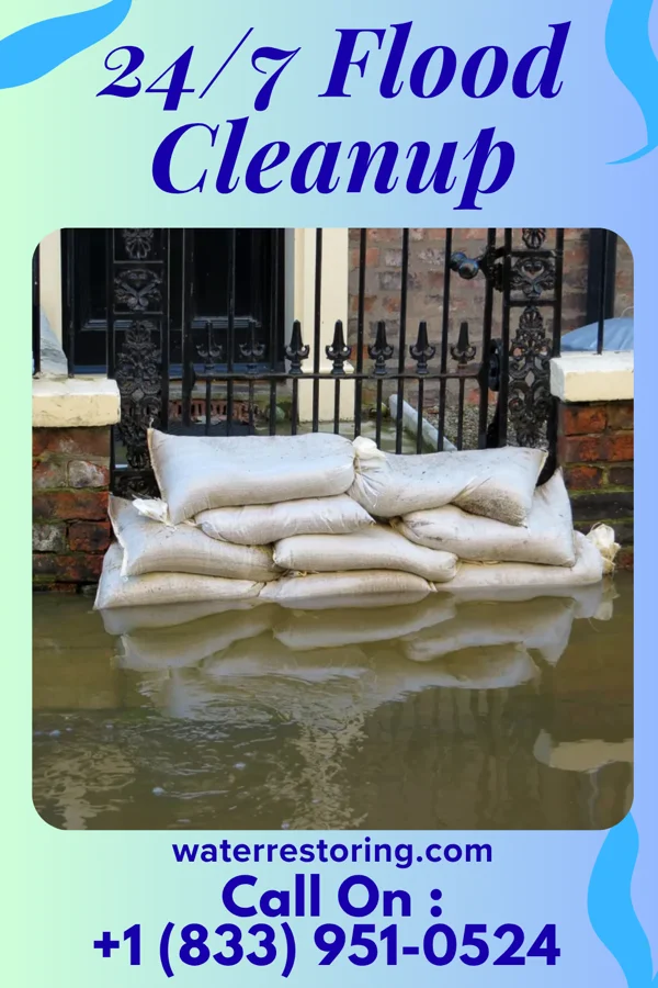 24/7 Flood Cleanup in Wylie, TX