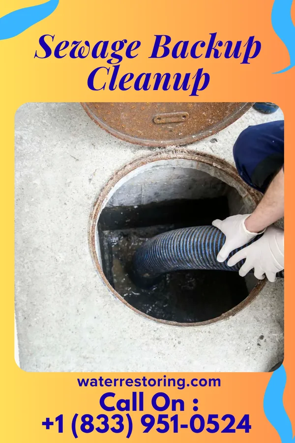 Sewage Backup Cleanup in Wylie, TX